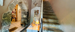 vente Maison de hameau Menthon Saint Bernard