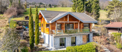 vente Villa Saint Jorioz