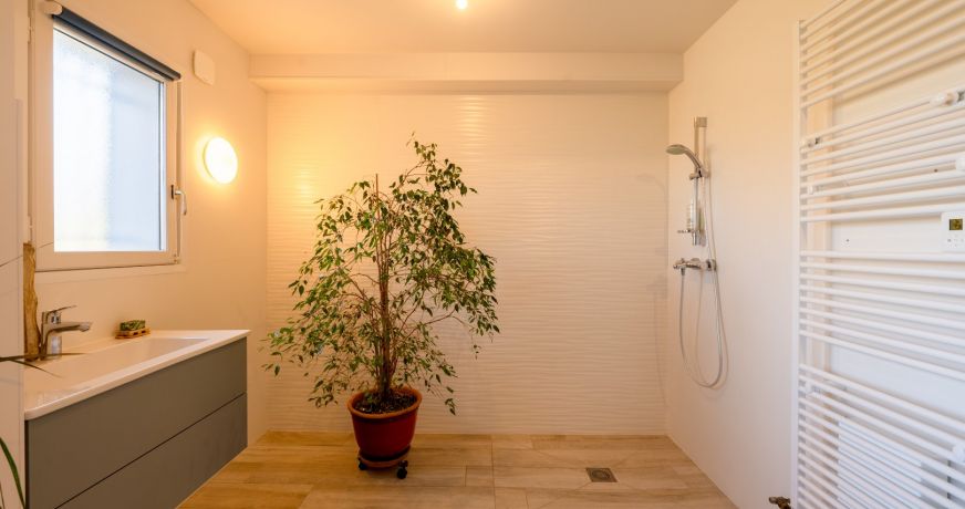 vente Maison Saint Jorioz