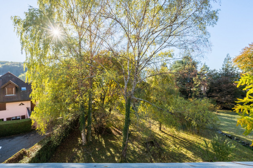 à vendre Duplex Menthon Saint Bernard - Photo 2
