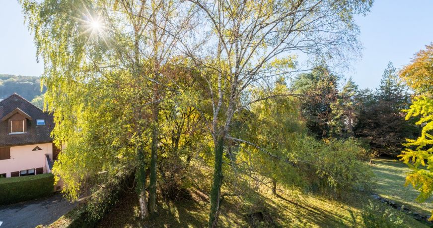 vente Duplex Menthon Saint Bernard