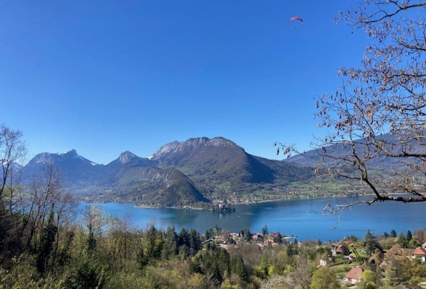 vente Propriété Talloires - Photo 3