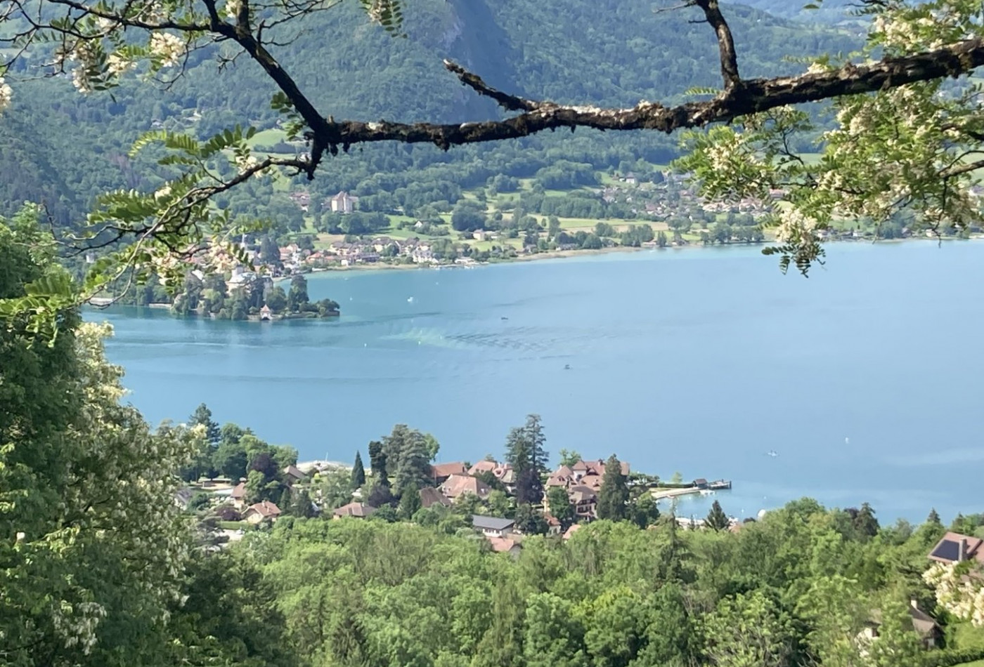 vente Propriété Talloires - Photo 2