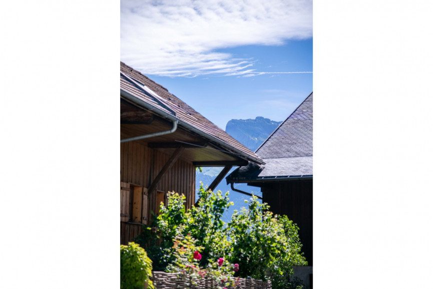 for sale Maison Saint Jorioz - Photo 2