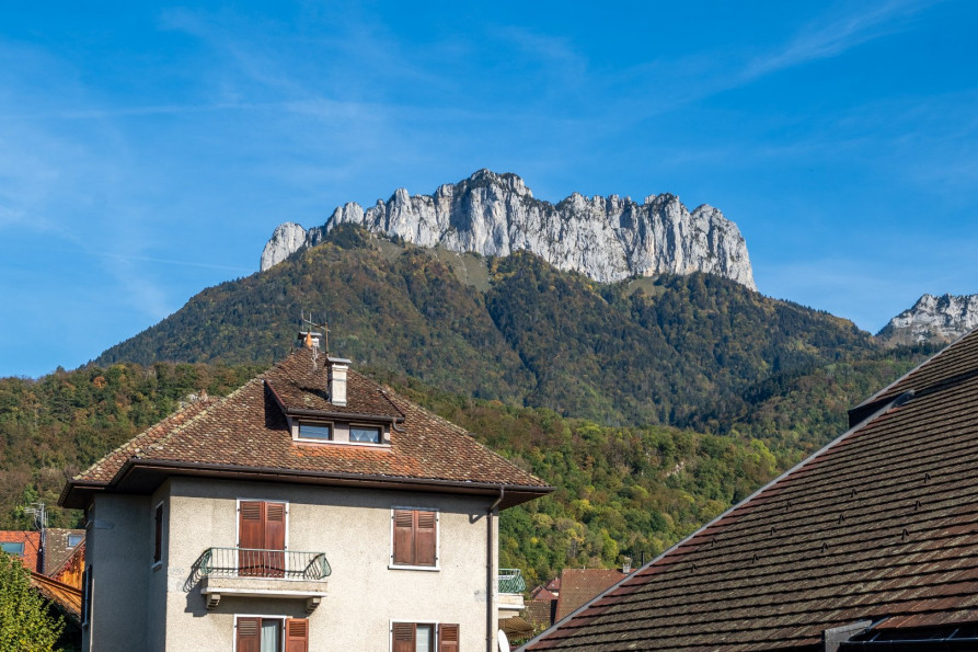 vente Appartement Menthon Saint Bernard - Photo 3