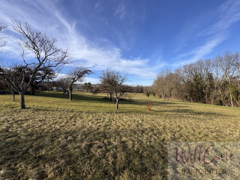 à vendre Terrain Gruffy - Photo 3