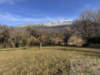 à vendre Terrain Gruffy