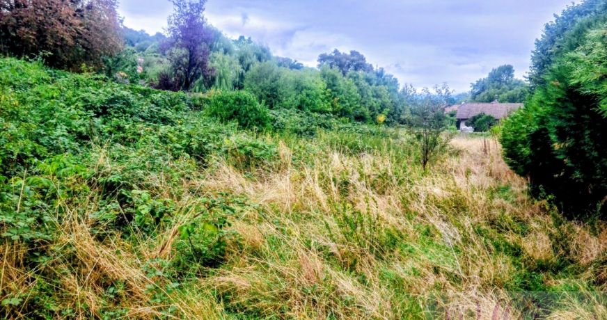 vente Maison Vetraz Monthoux