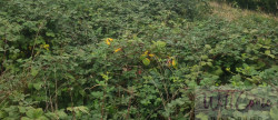 vente Maison Vetraz Monthoux