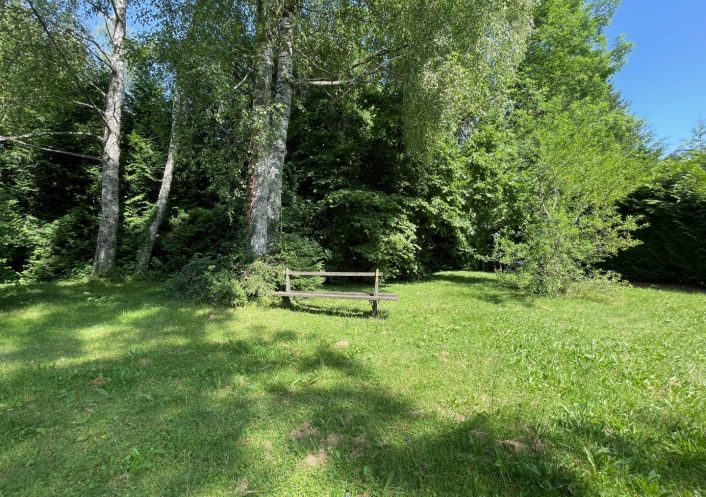 vente Ensemble immobilier Filliere