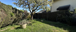 vente Appartement Meythet