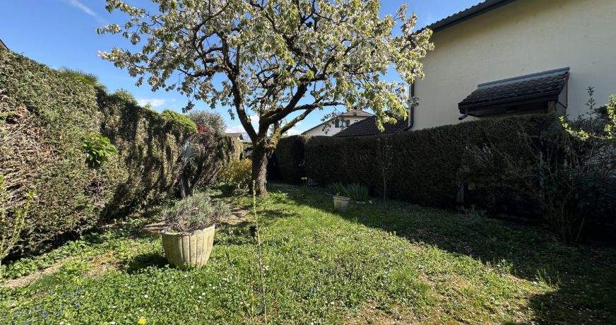 vente Appartement Meythet