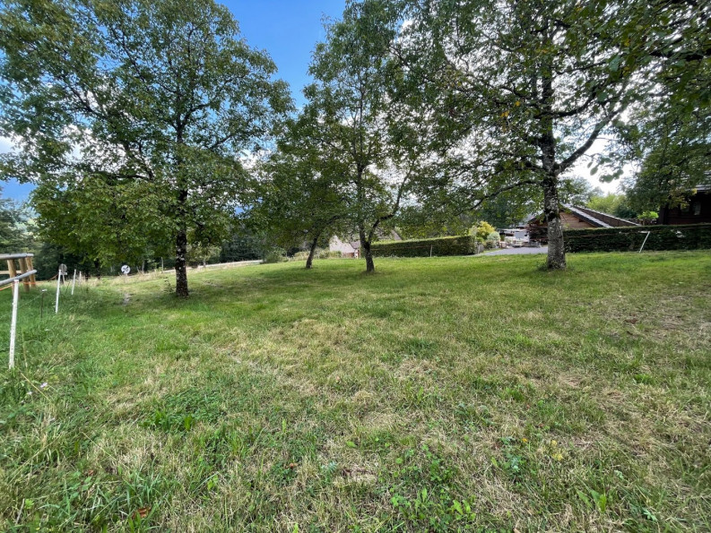 vente Terrain Filliere - Photo 4