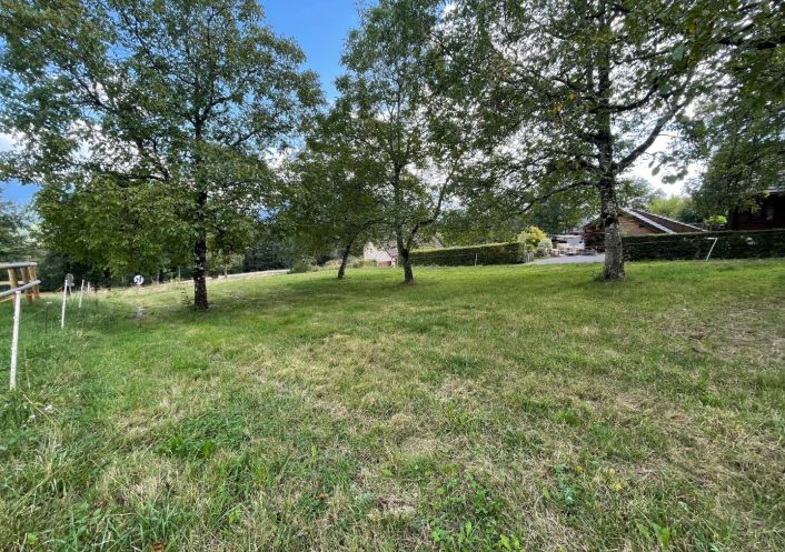 vente Terrain Filliere