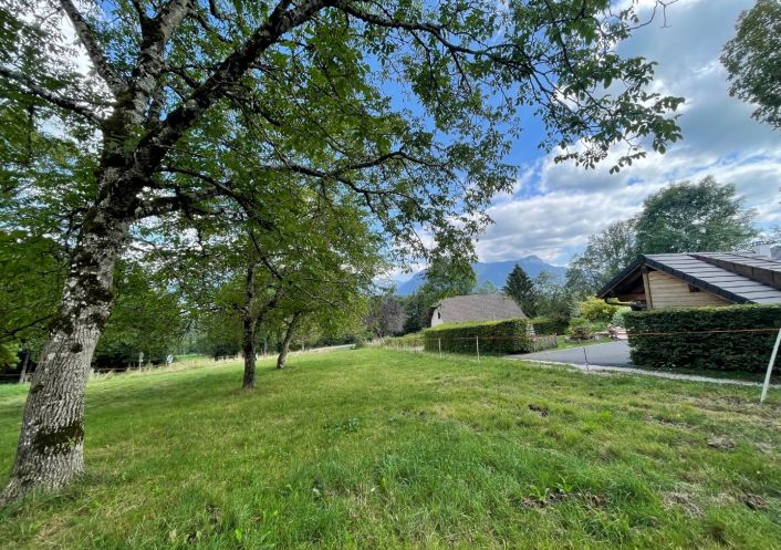 vente Terrain Filliere