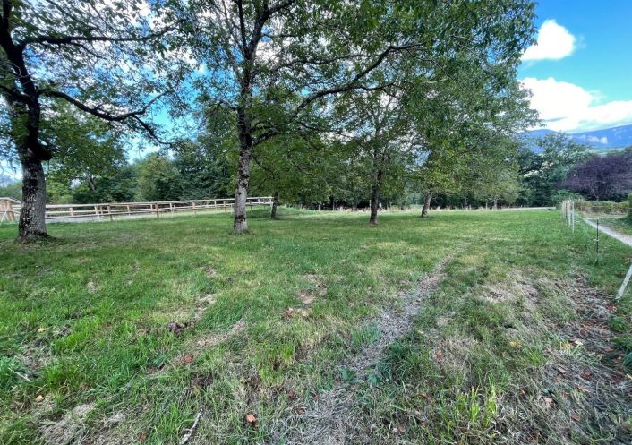 vente Terrain Filliere