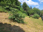 vente Terrain Groisy