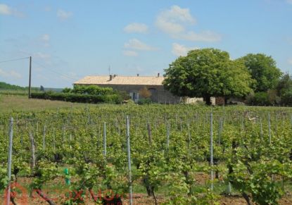 A vendre Propriété viticole Saint Sernin | Réf 7401421584 - Rezoximo