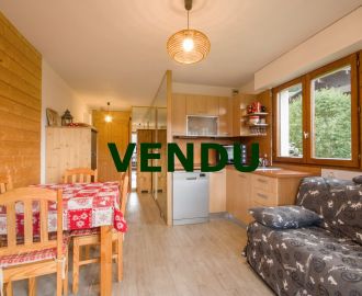 vente Saint Gervais Les Bains