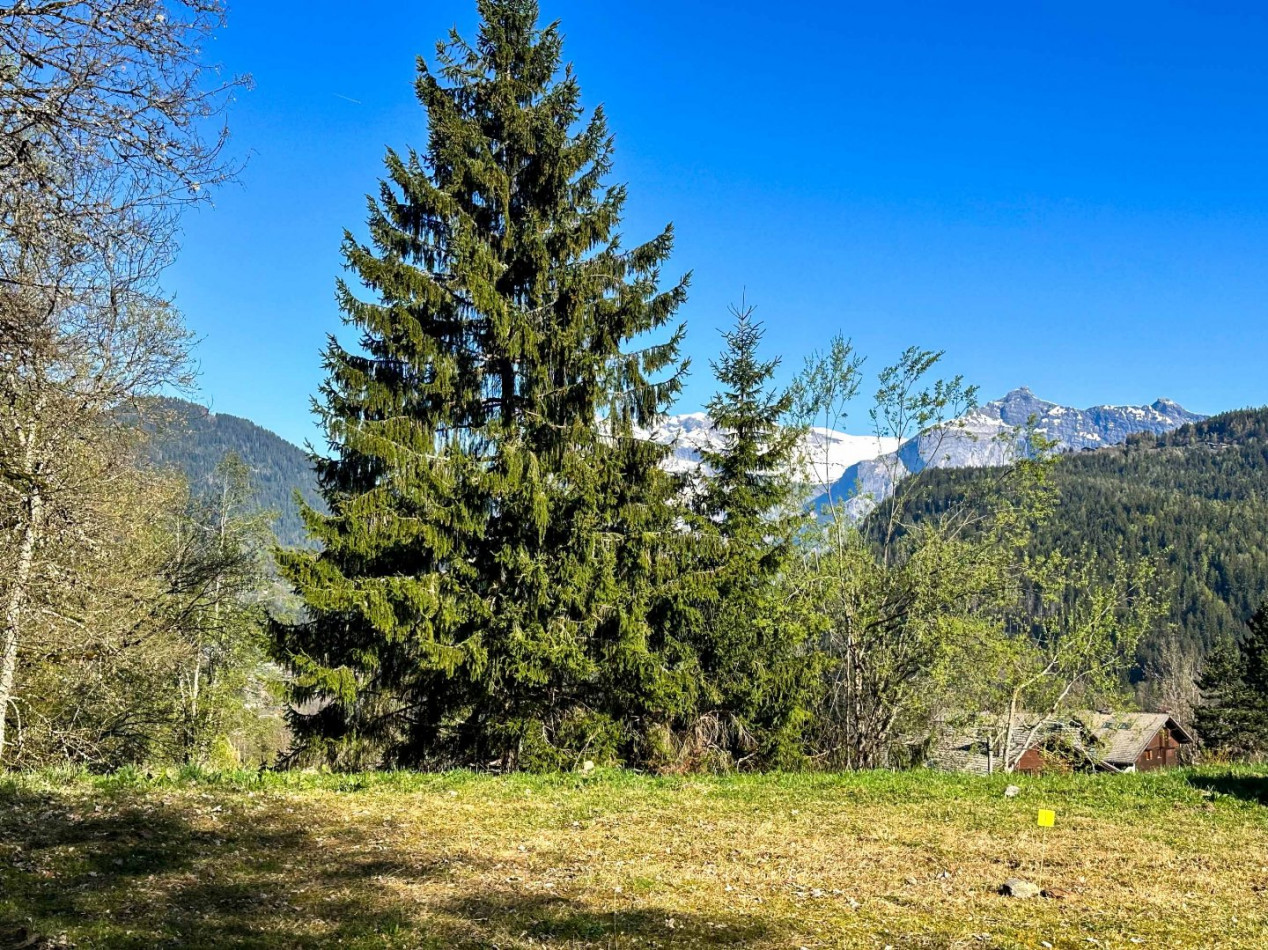 vente Terrain constructible Les Houches - Photo 4