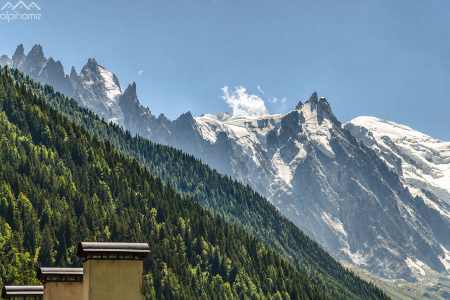 vente Appartement Argentiere - Photo 3