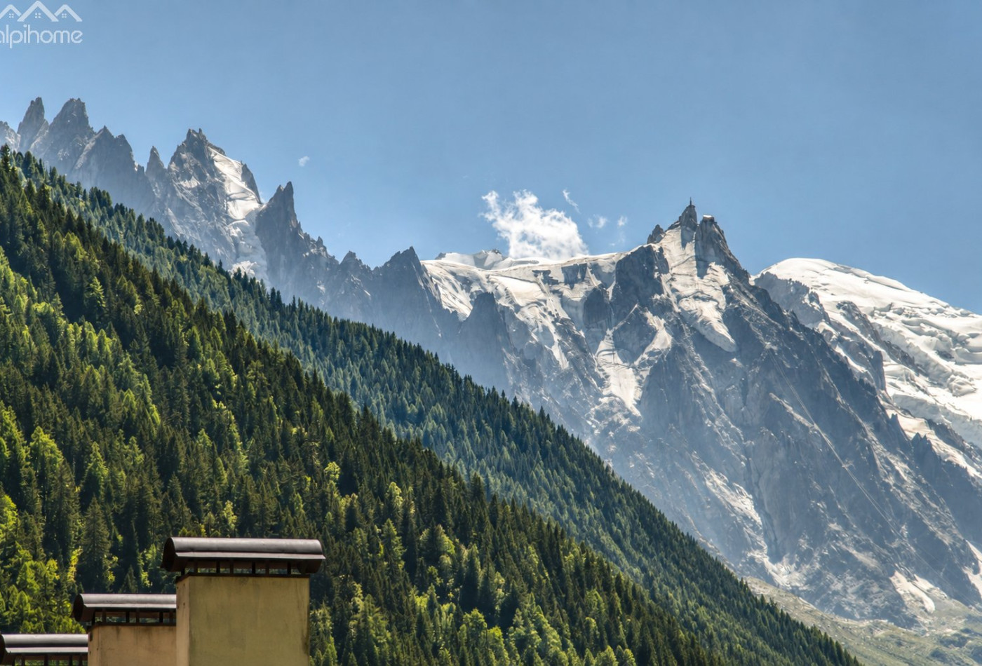 vente Appartement Argentiere - Photo 3