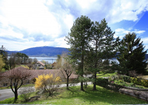 vente Maison Veyrier Du Lac