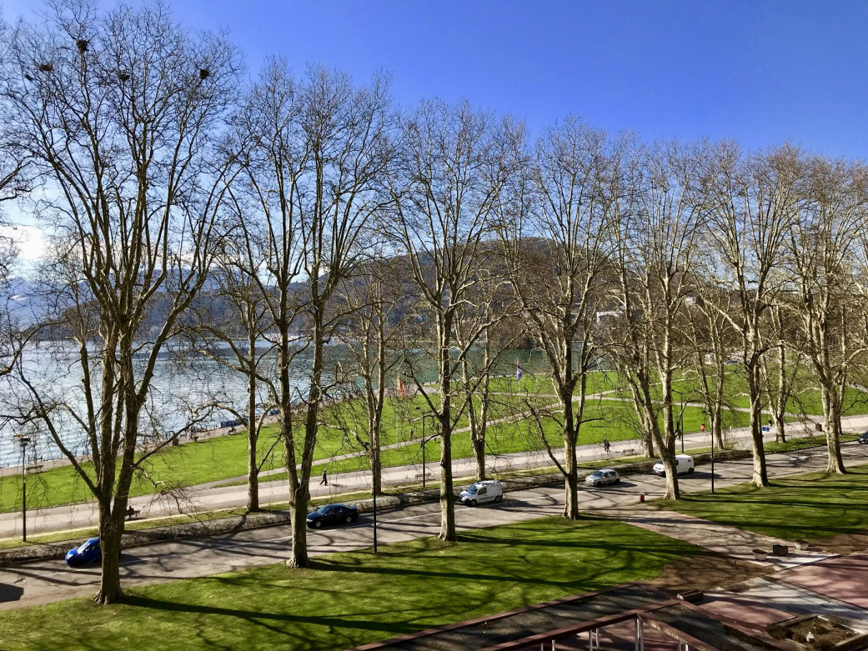 vente Appartement Annecy - Photo 1