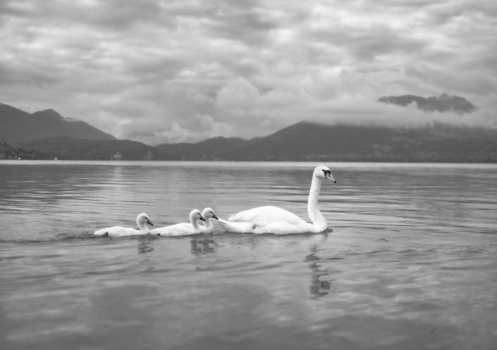 vente Maison Menthon Saint Bernard