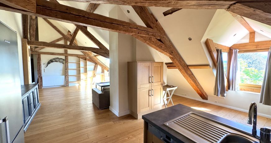 vente Appartement Annecy
