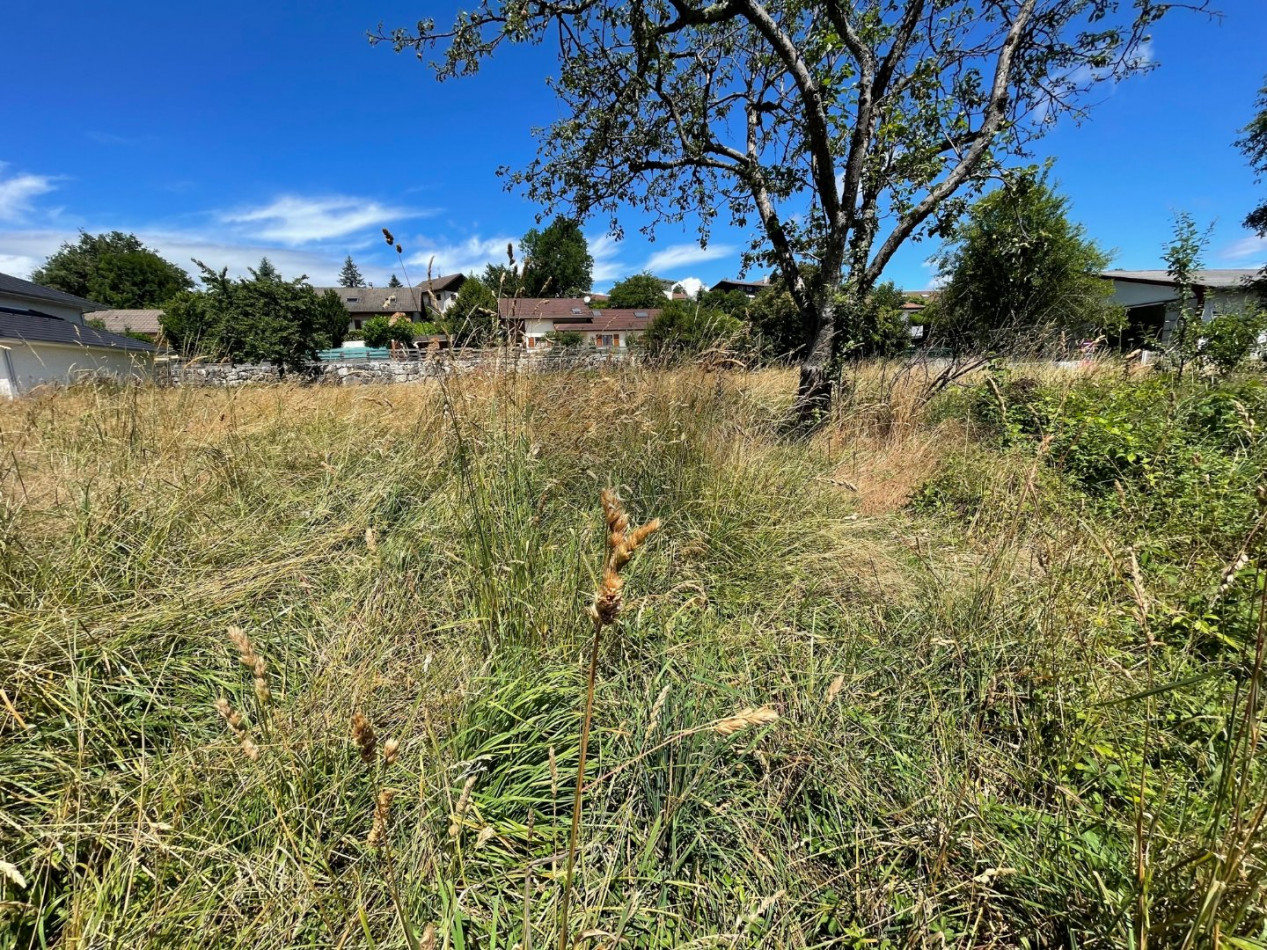 vente Terrain Albens - Photo 3