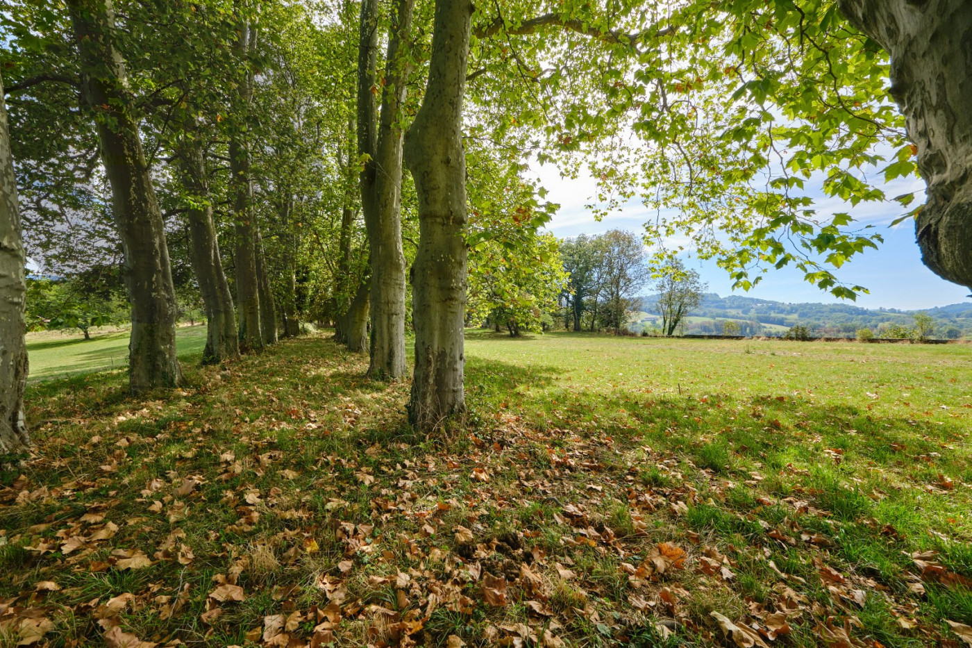sale Château Chavanod - Photo 11