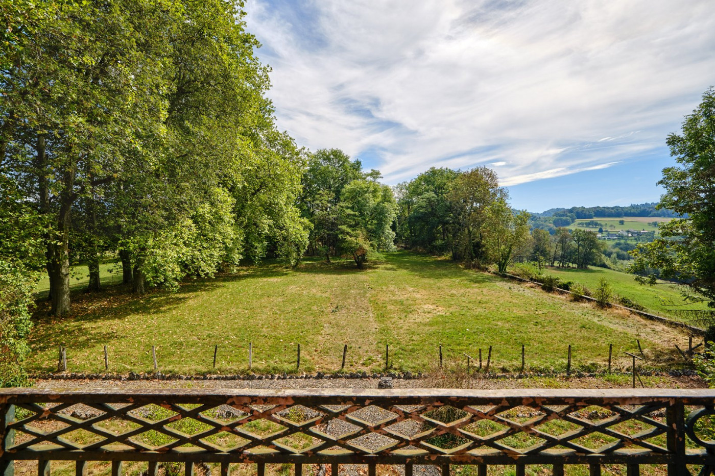 sale Château Chavanod - Photo 8