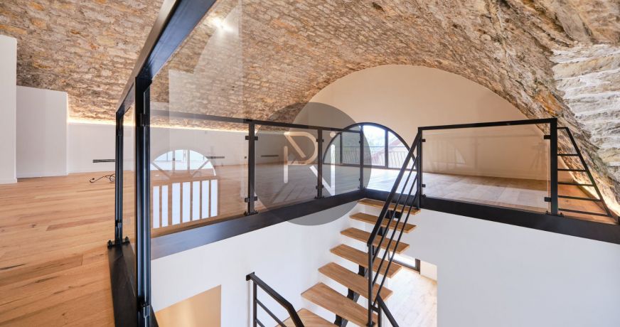 vente Loft/atelier/surface Aix Les Bains