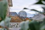 vente Maison La Motte Servolex