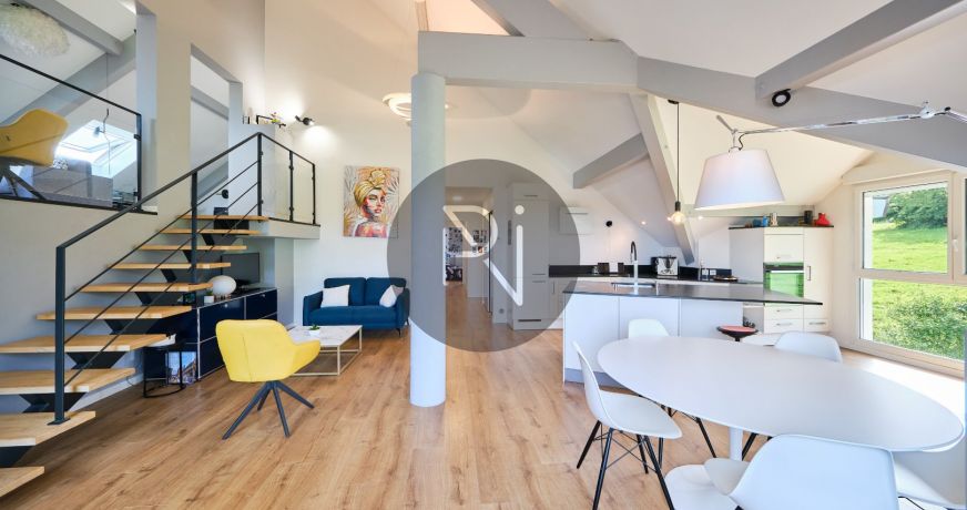 vente Duplex Annecy Le Vieux