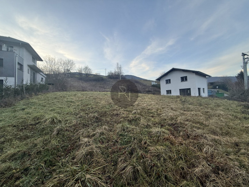 vente Terrain Lornay - Photo 2