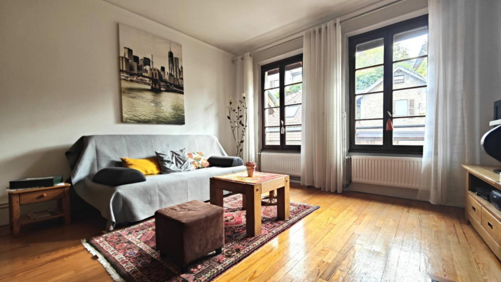vente Appartement Annecy - Photo 3