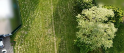 vente Terrain Saint Sylvestre