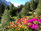 vente Chalet Chamonix Mont Blanc