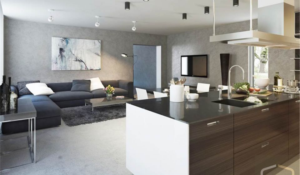 vente Maison en vefa Segny