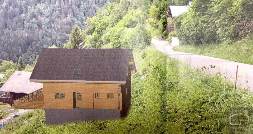 vente Terrain constructible Aillon Le Jeune - Photo 3