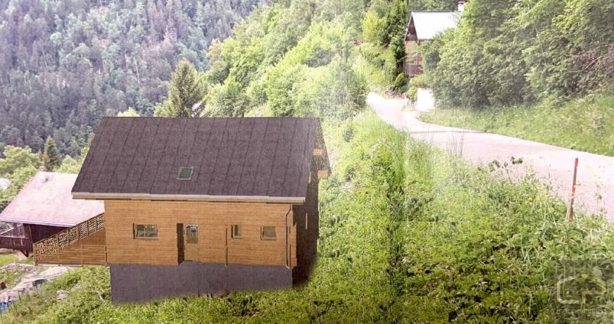 vente Terrain constructible Aillon Le Jeune