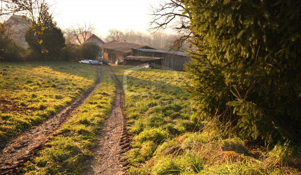 vente Maison Vieugy