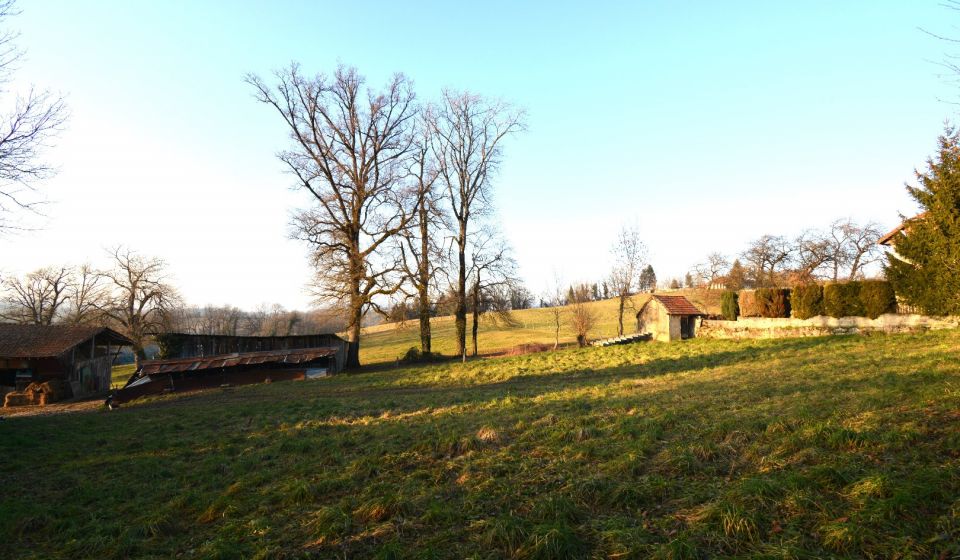 vente Maison Vieugy