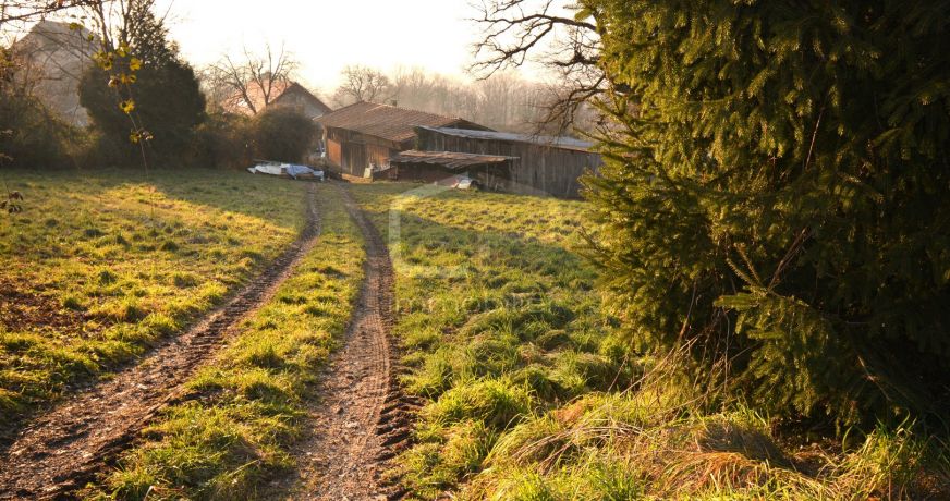 vente Appartement Vieugy