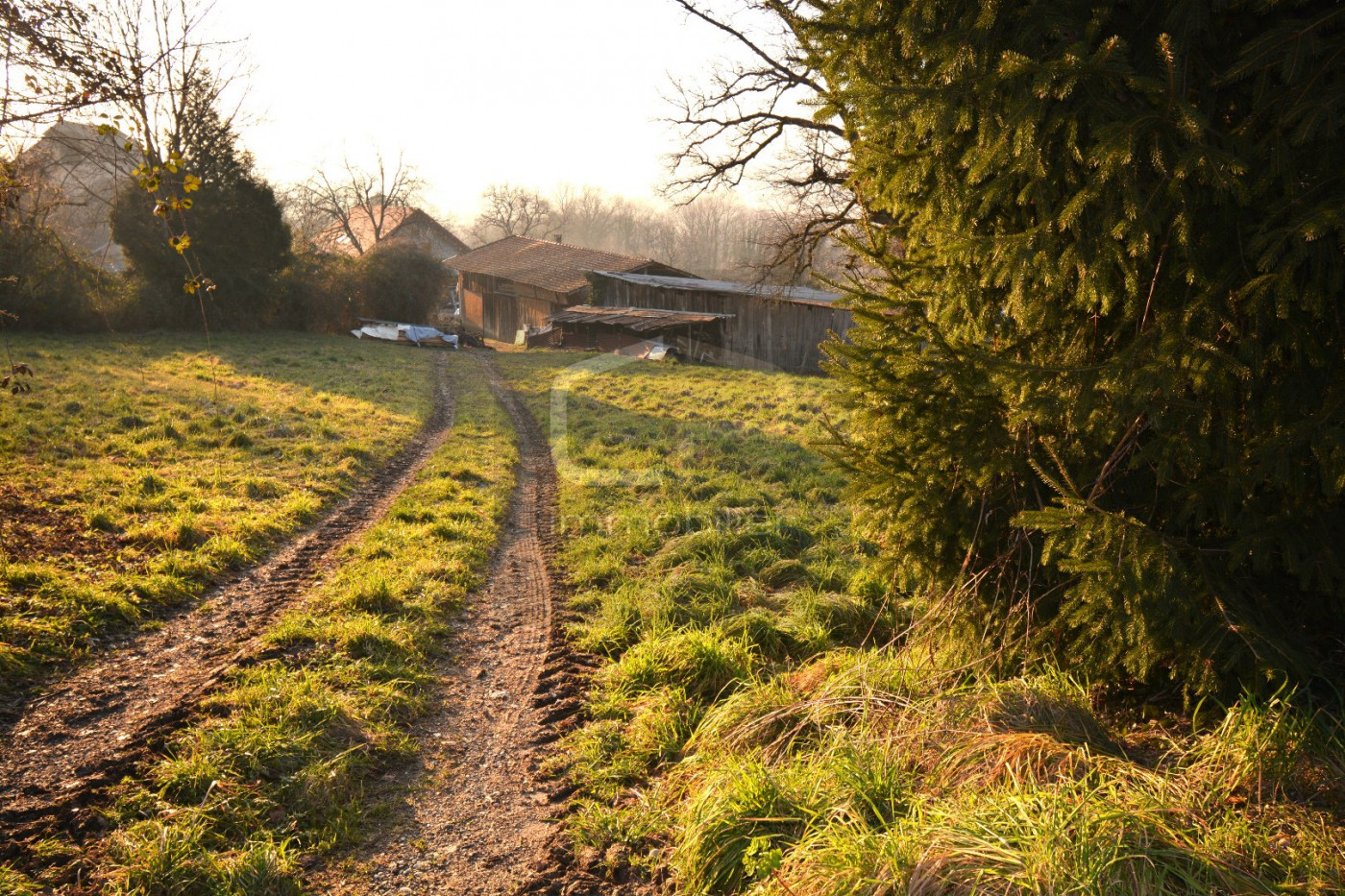 vente Maison Seynod - Photo 2