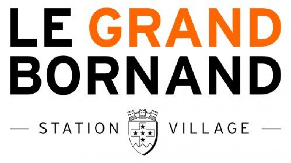 vente Chalet en bois Le Grand Bornand - Photo 1