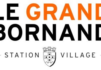 vente Chalet en bois Le Grand Bornand