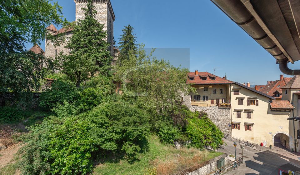 vente Appartement rénové Annecy